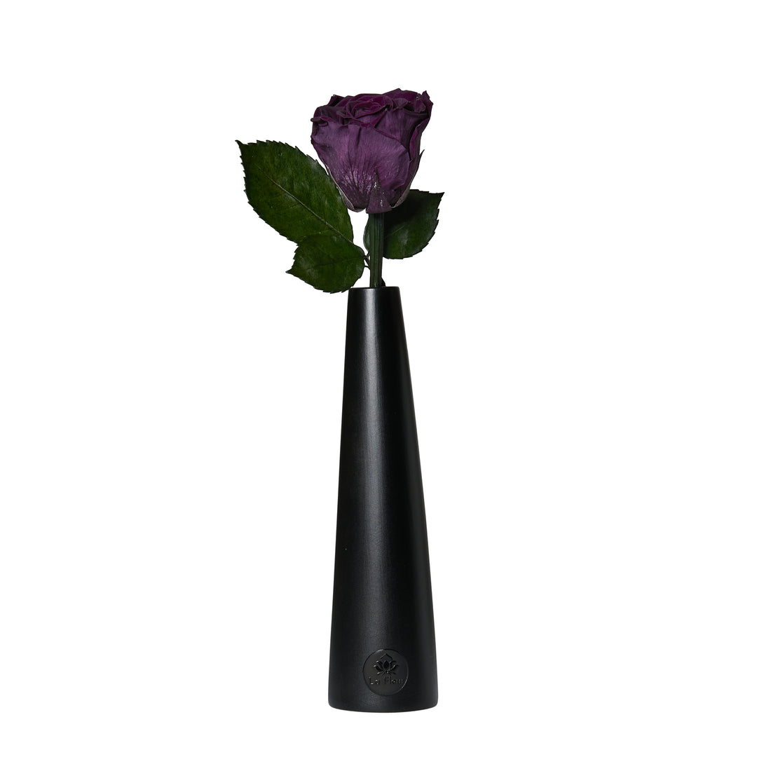 Noir Single Stem by La Fleur Lifetime Flowers