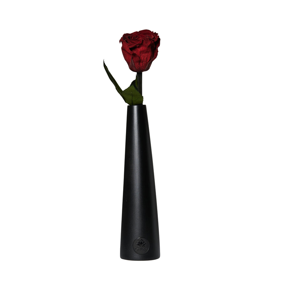 Noir Single Stem by La Fleur Lifetime Flowers