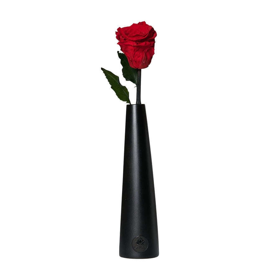 Noir Single Stem by La Fleur Lifetime Flowers