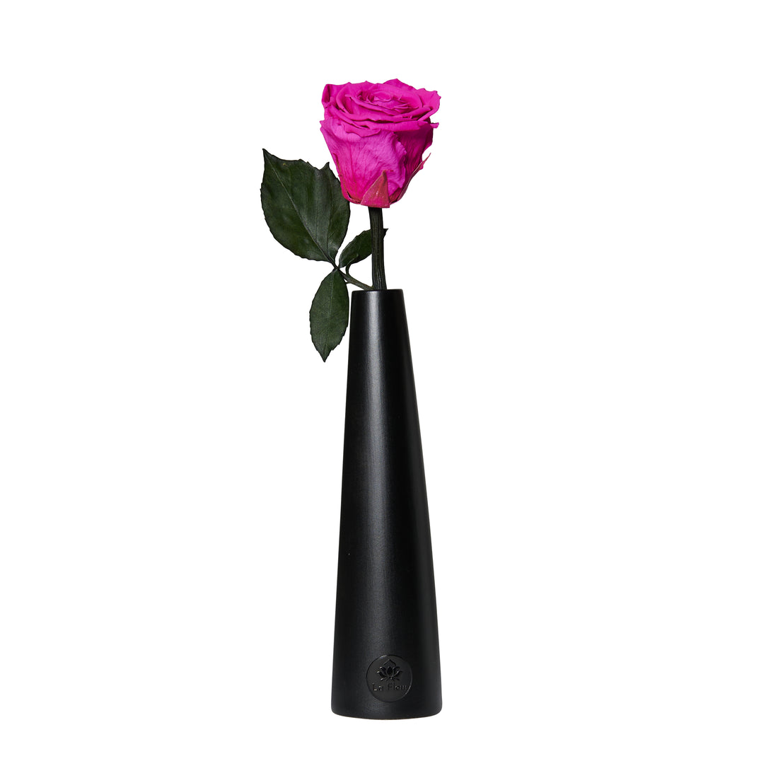 Noir Single Stem by La Fleur Lifetime Flowers