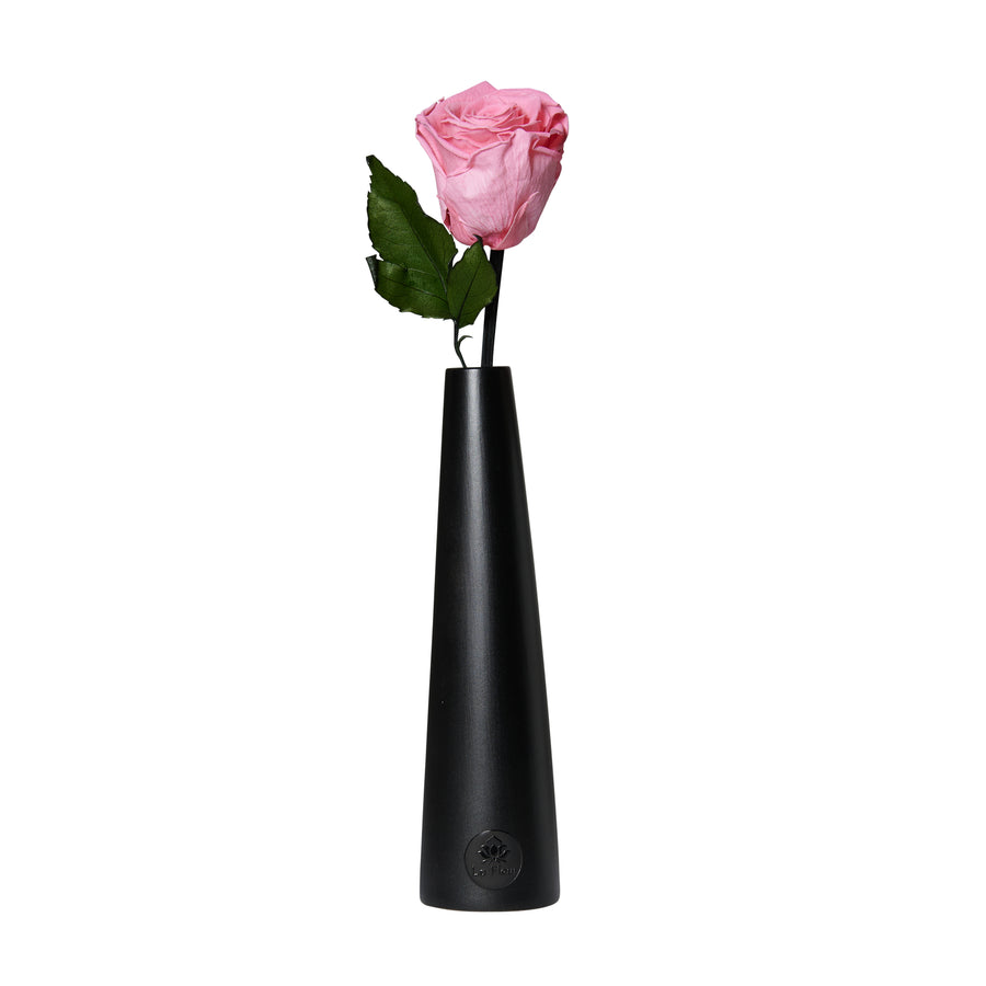 Noir Single Stem by La Fleur Lifetime Flowers