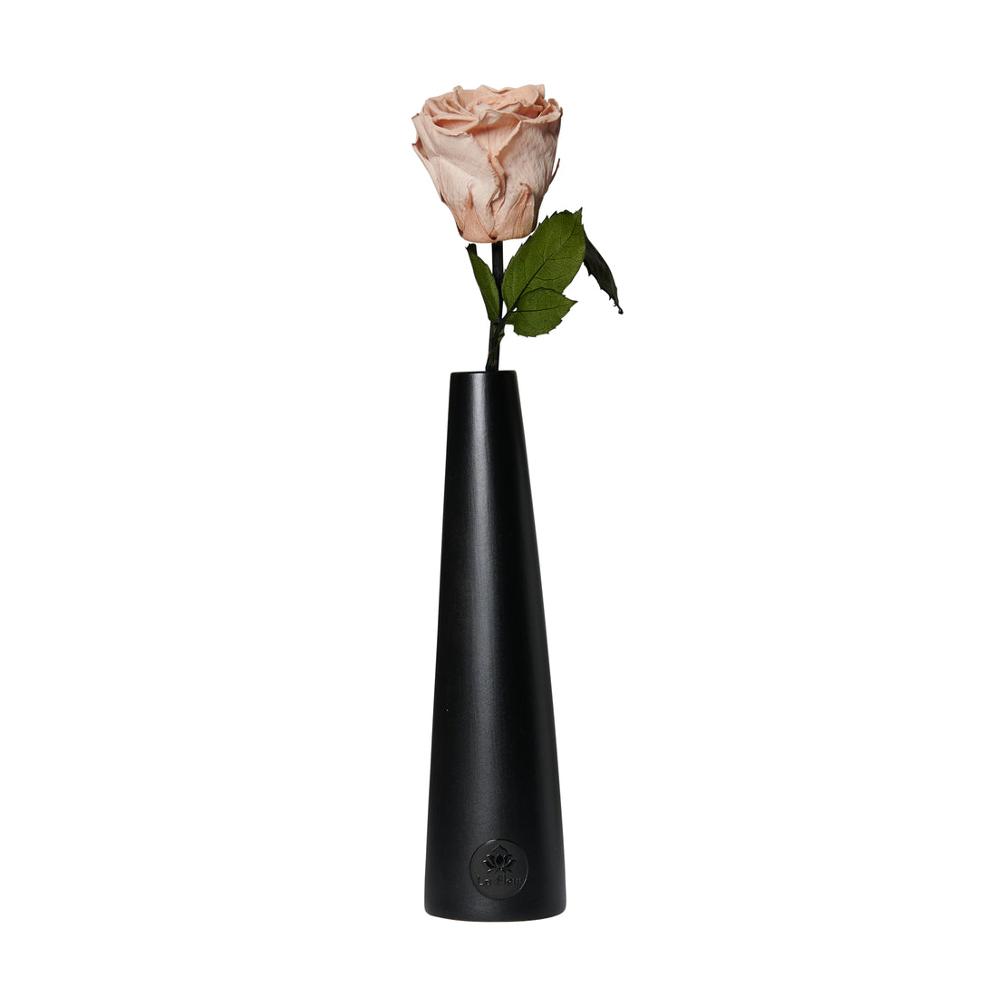 Noir Single Stem by La Fleur Lifetime Flowers