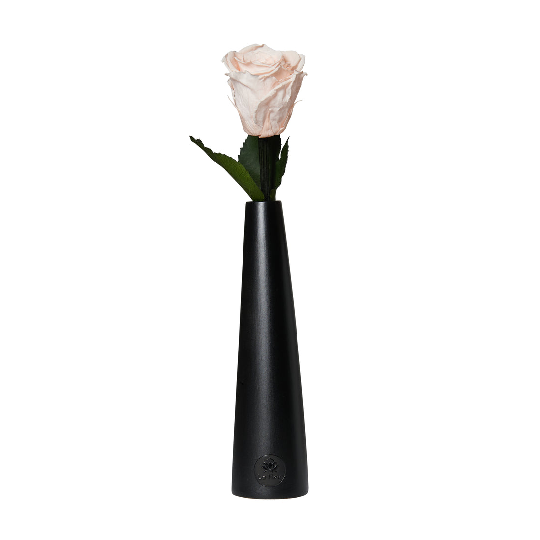 Noir Single Stem by La Fleur Lifetime Flowers