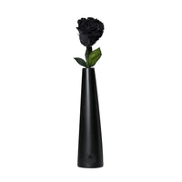Noir Single Stem by La Fleur Lifetime Flowers
