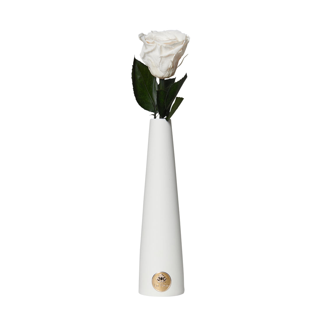 Single Stem by La Fleur Lifetime Flowers