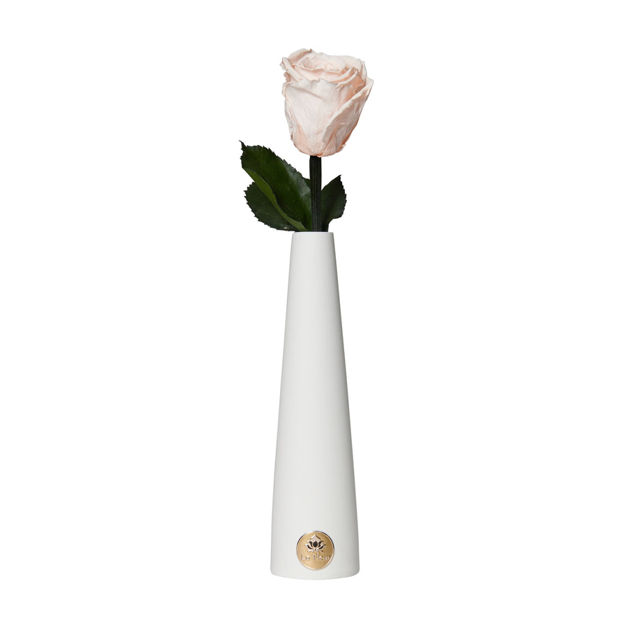 Single Stem by La Fleur Lifetime Flowers