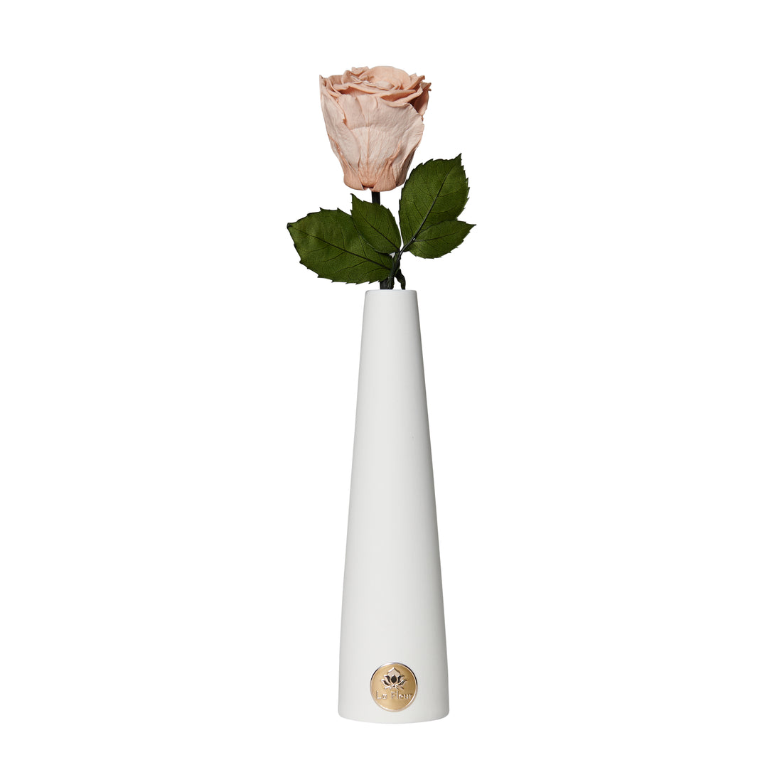 Single Stem by La Fleur Lifetime Flowers