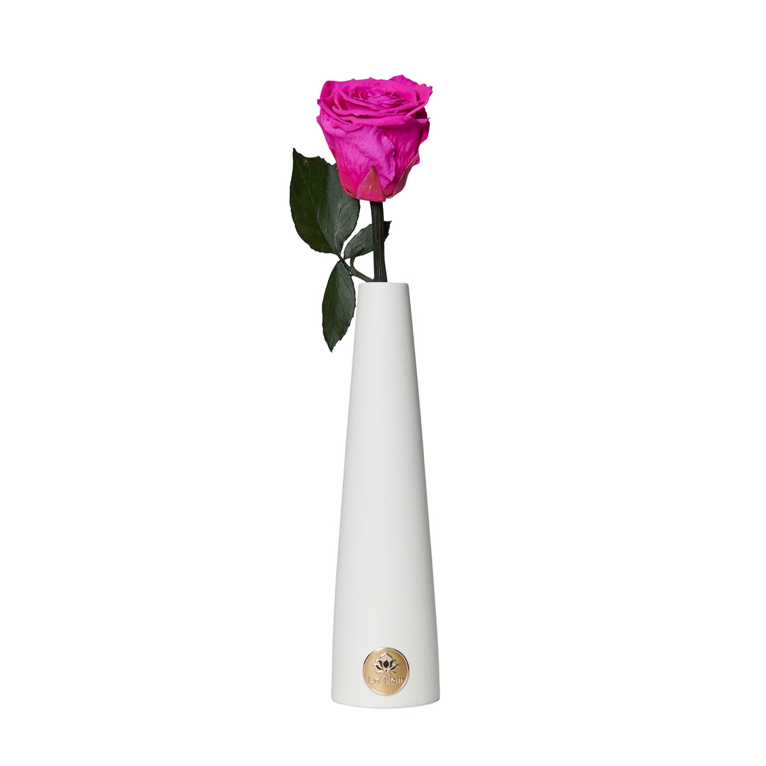 Single Stem by La Fleur Lifetime Flowers