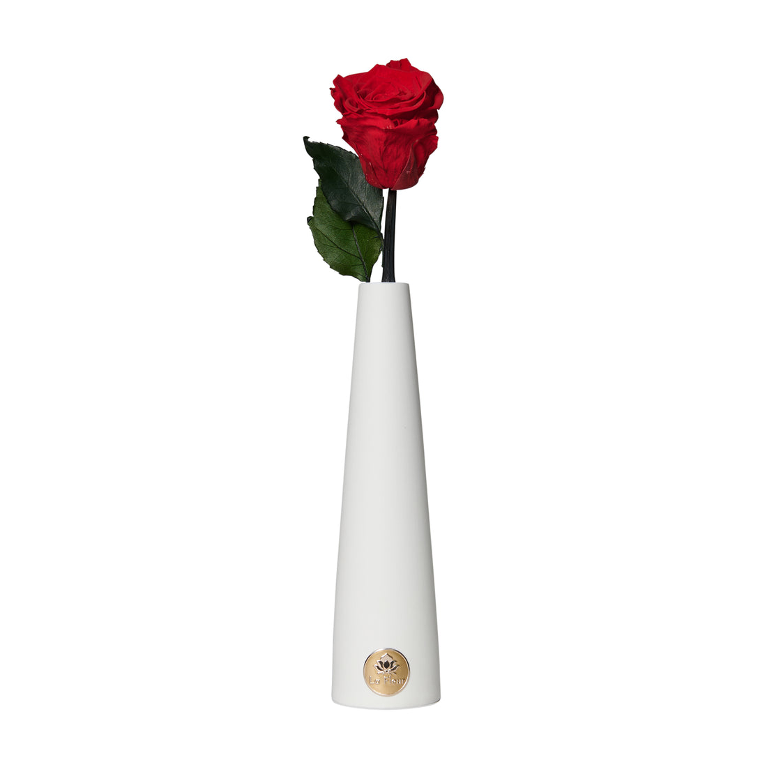 Single Stem by La Fleur Lifetime Flowers