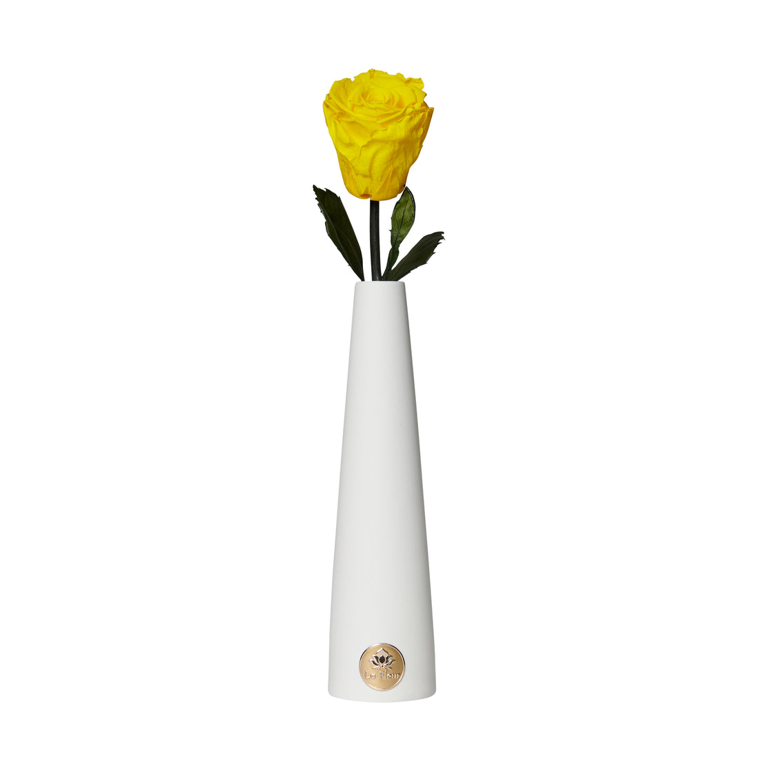 Single Stem by La Fleur Lifetime Flowers