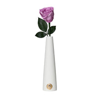 Single Stem by La Fleur Lifetime Flowers