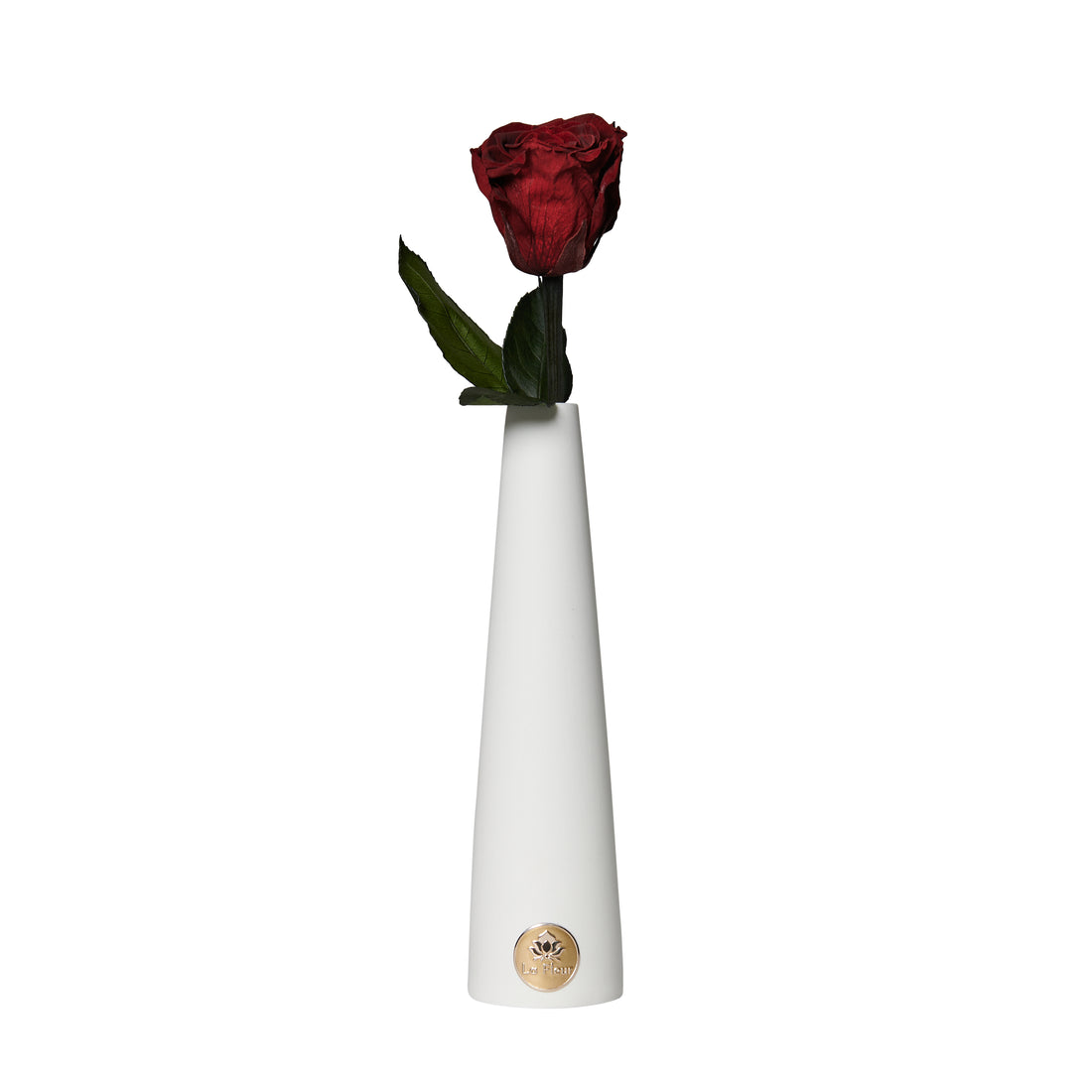 Single Stem by La Fleur Lifetime Flowers