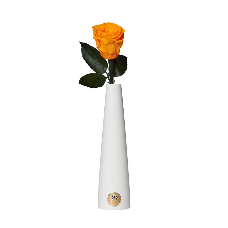 Single Stem by La Fleur Lifetime Flowers