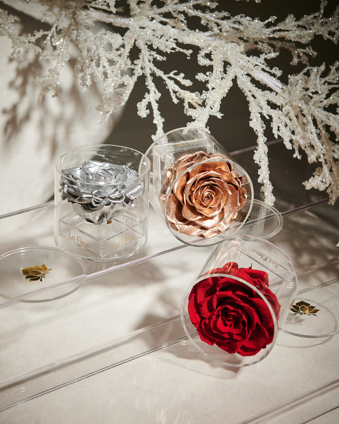 Single Acrylic by La Fleur Lifetime Flowers
