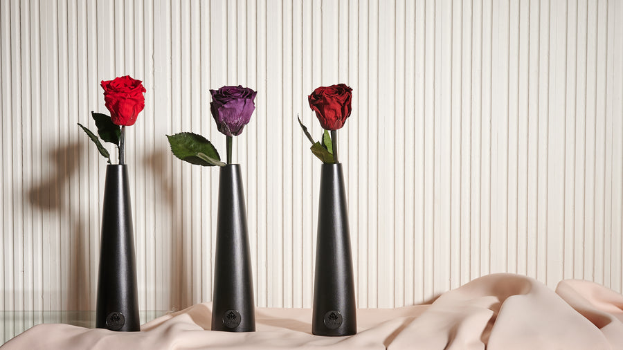 Noir Single Stem by La Fleur Lifetime Flowers