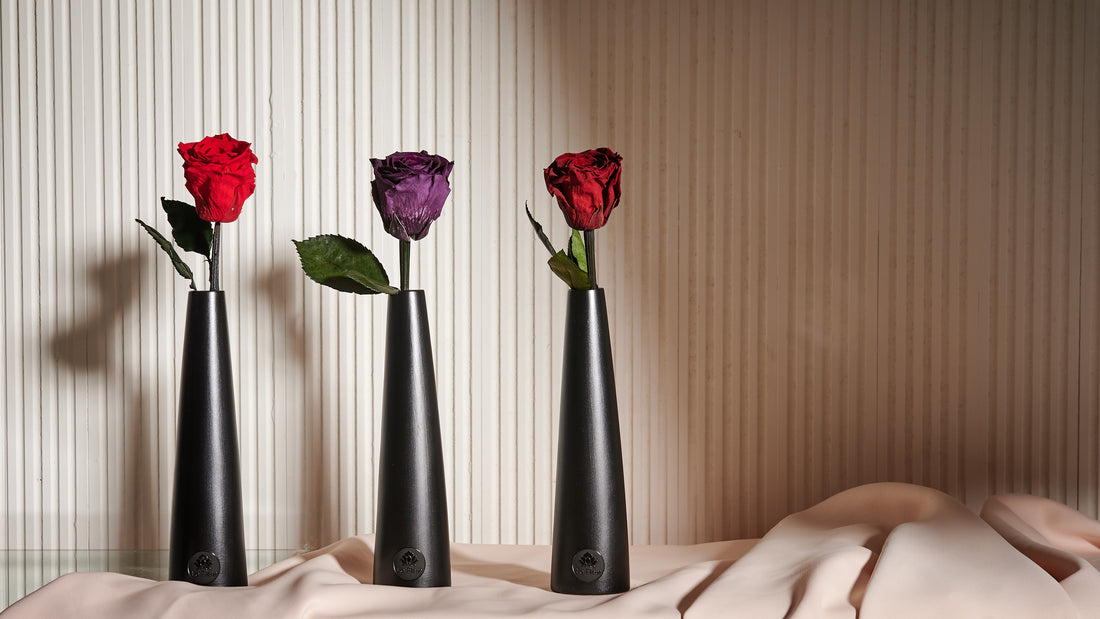 Noir Single Stem by La Fleur Lifetime Flowers