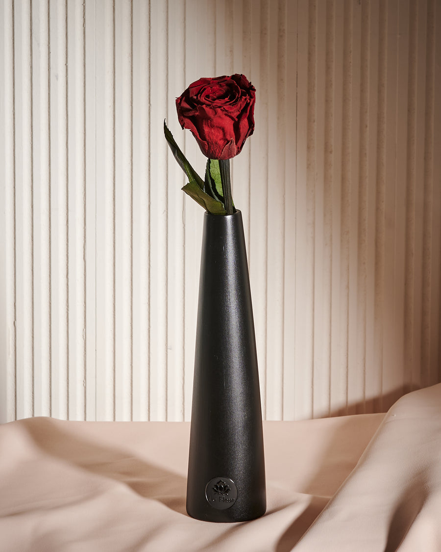 Noir Single Stem by La Fleur Lifetime Flowers