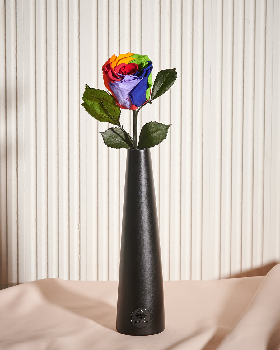 Noir Single Stem by La Fleur Lifetime Flowers