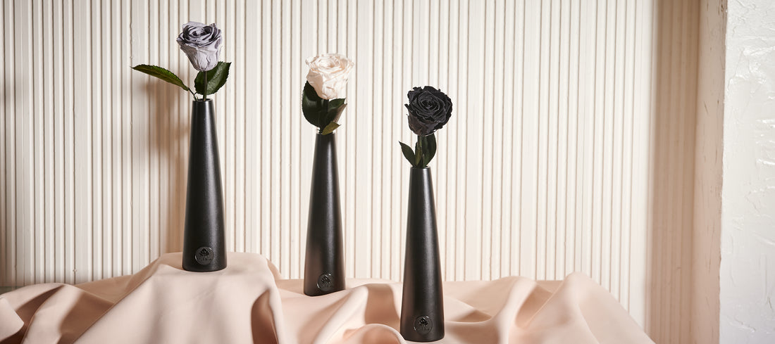 Noir Single Stem by La Fleur Lifetime Flowers