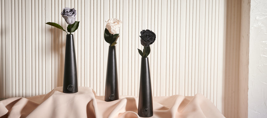 Noir Single Stem by La Fleur Lifetime Flowers