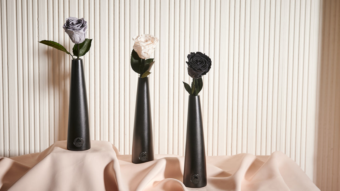 Noir Single Stem by La Fleur Lifetime Flowers