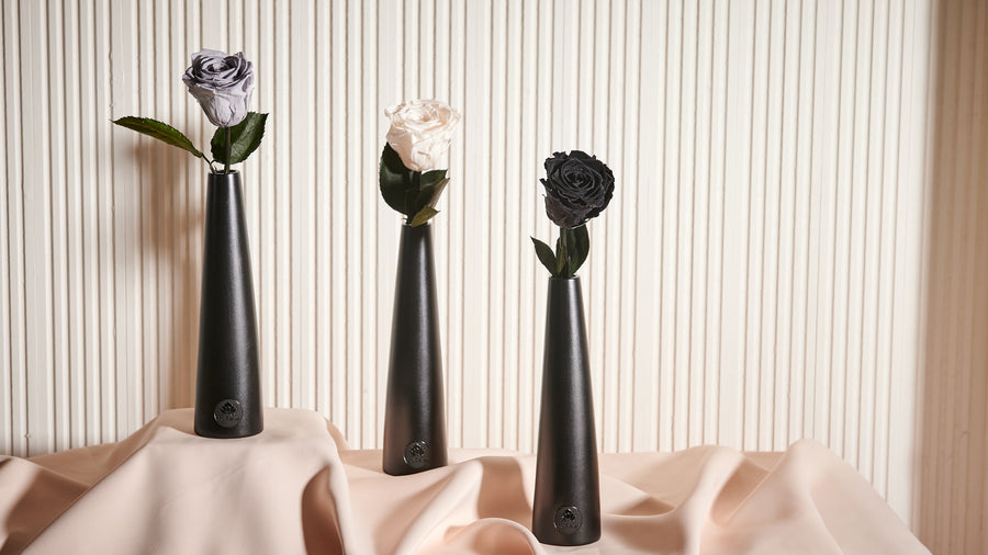 Noir Single Stem by La Fleur Lifetime Flowers