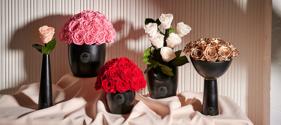 Noir Single Stem by La Fleur Lifetime Flowers