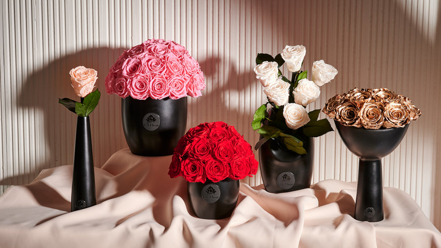 Noir Single Stem by La Fleur Lifetime Flowers