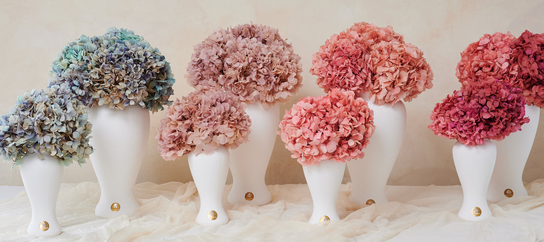 Grande Hydrangea by La Fleur Lifetime Flowers