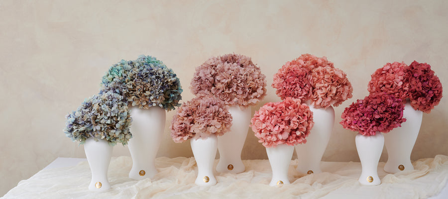 Petite Hydrangea by La Fleur Lifetime Flowers