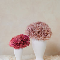Petite Hydrangea by La Fleur Lifetime Flowers