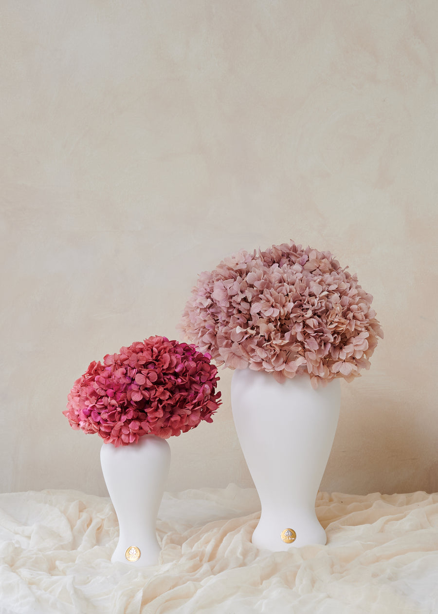 Petite Hydrangea by La Fleur Lifetime Flowers