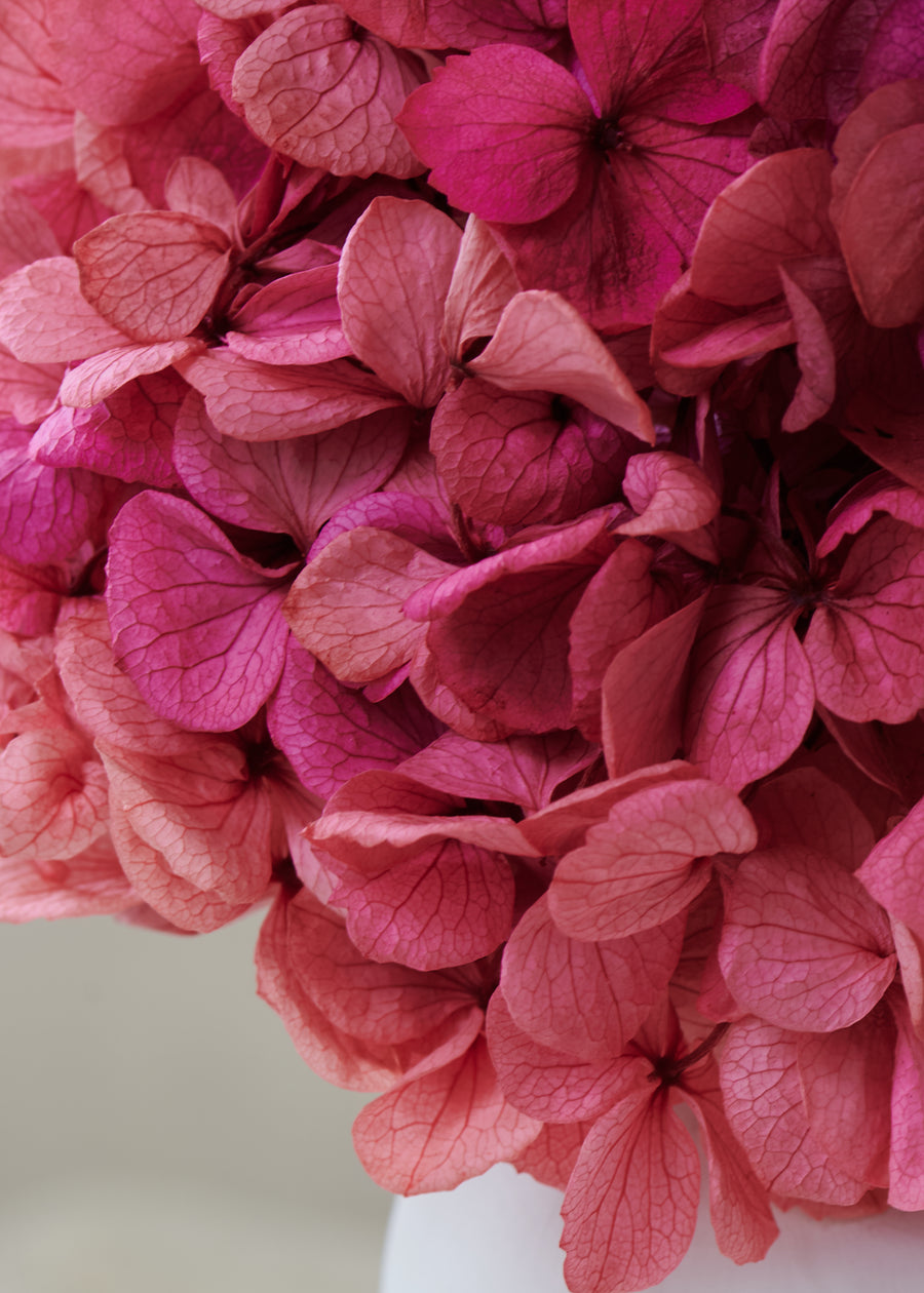 Petite Hydrangea by La Fleur Lifetime Flowers