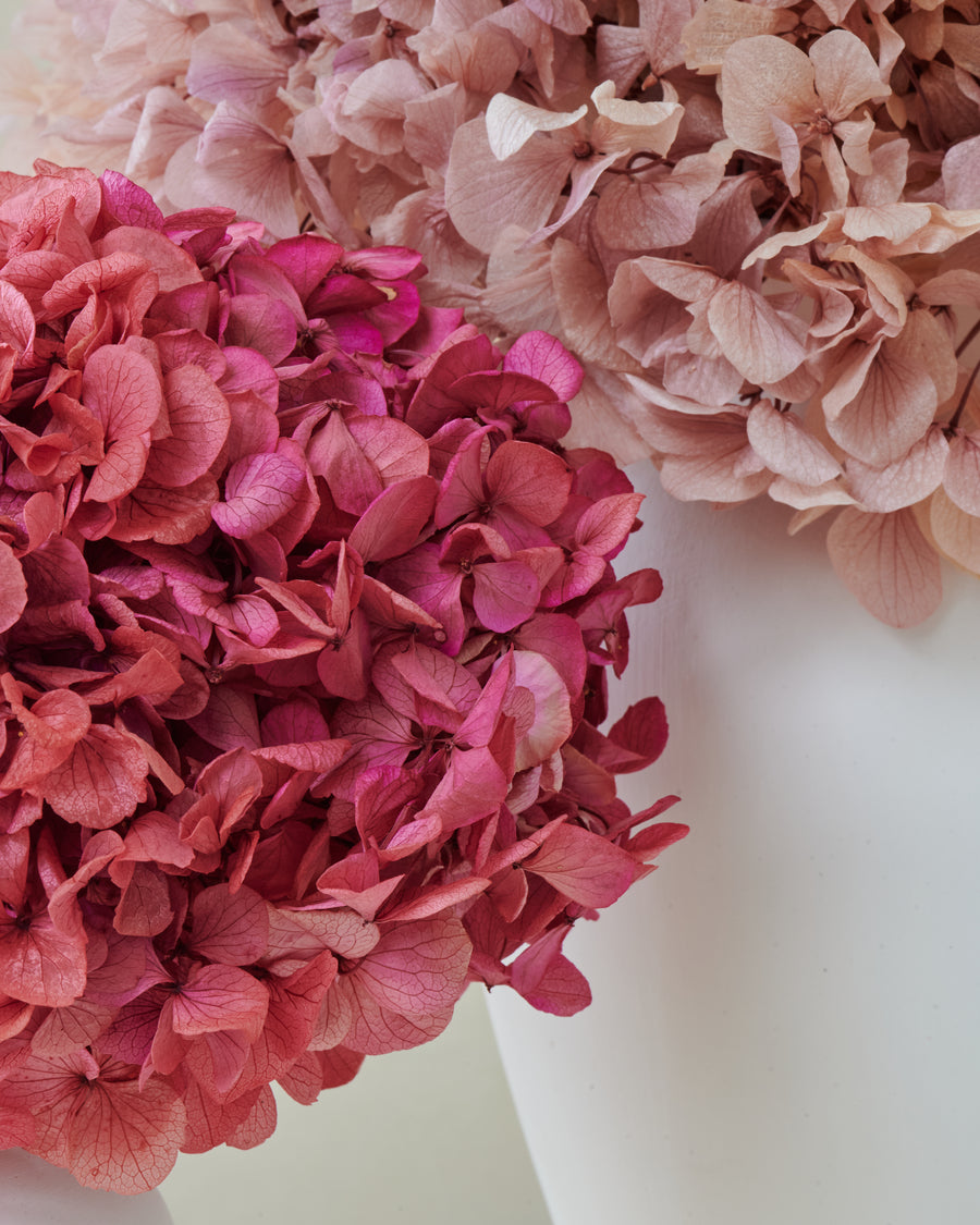 Petite Hydrangea by La Fleur Lifetime Flowers