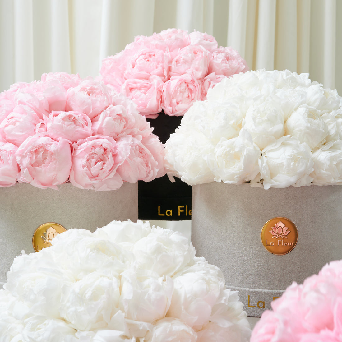 Peony Dome by La Fleur Lifetime Flowers