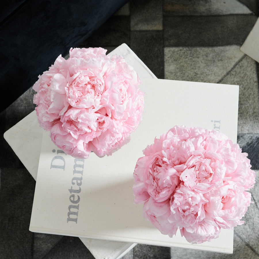 Black Marble Petite Peony Dôme by La Fleur Lifetime Flowers