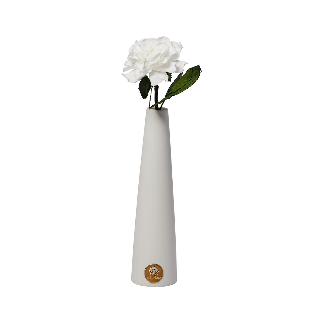 Gardenia Single Stem by La Fleur Lifetime Flowers