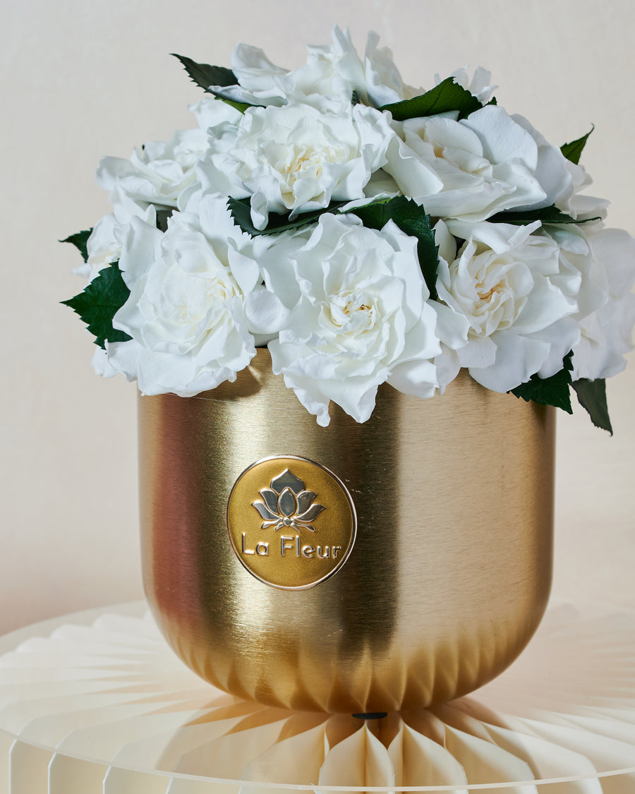 Gardenia Laiton Dôme by La Fleur Lifetime Flowers