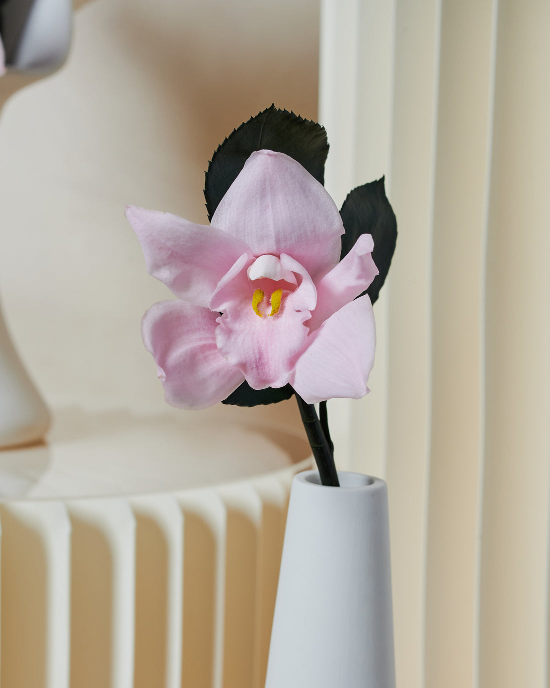 Orchid Single Stem by La Fleur Lifetime Flowers