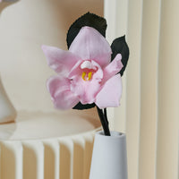 Orchid Single Stem by La Fleur Lifetime Flowers