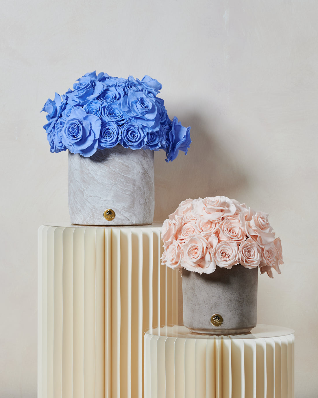 La Terre Grande - Reflex by La Fleur Lifetime Flowers