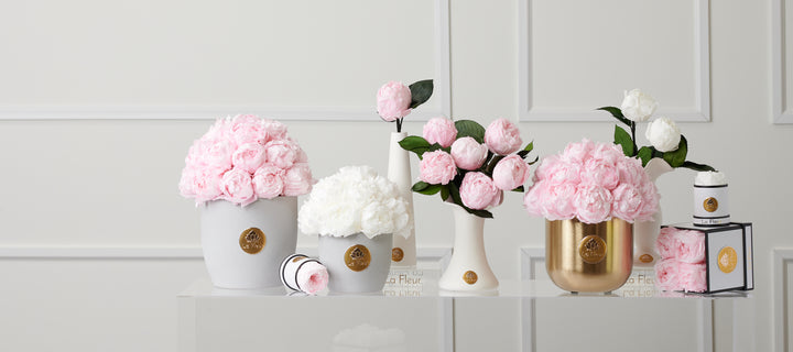 Gris Petite Dôme - Ivory Peony by La Fleur Lifetime Flowers