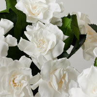 Royal Grande - Gardenia by La Fleur Lifetime Flowers
