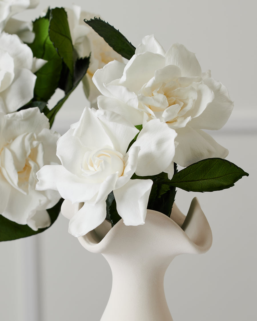 Royal Petite - Gardenia by La Fleur Lifetime Flowers
