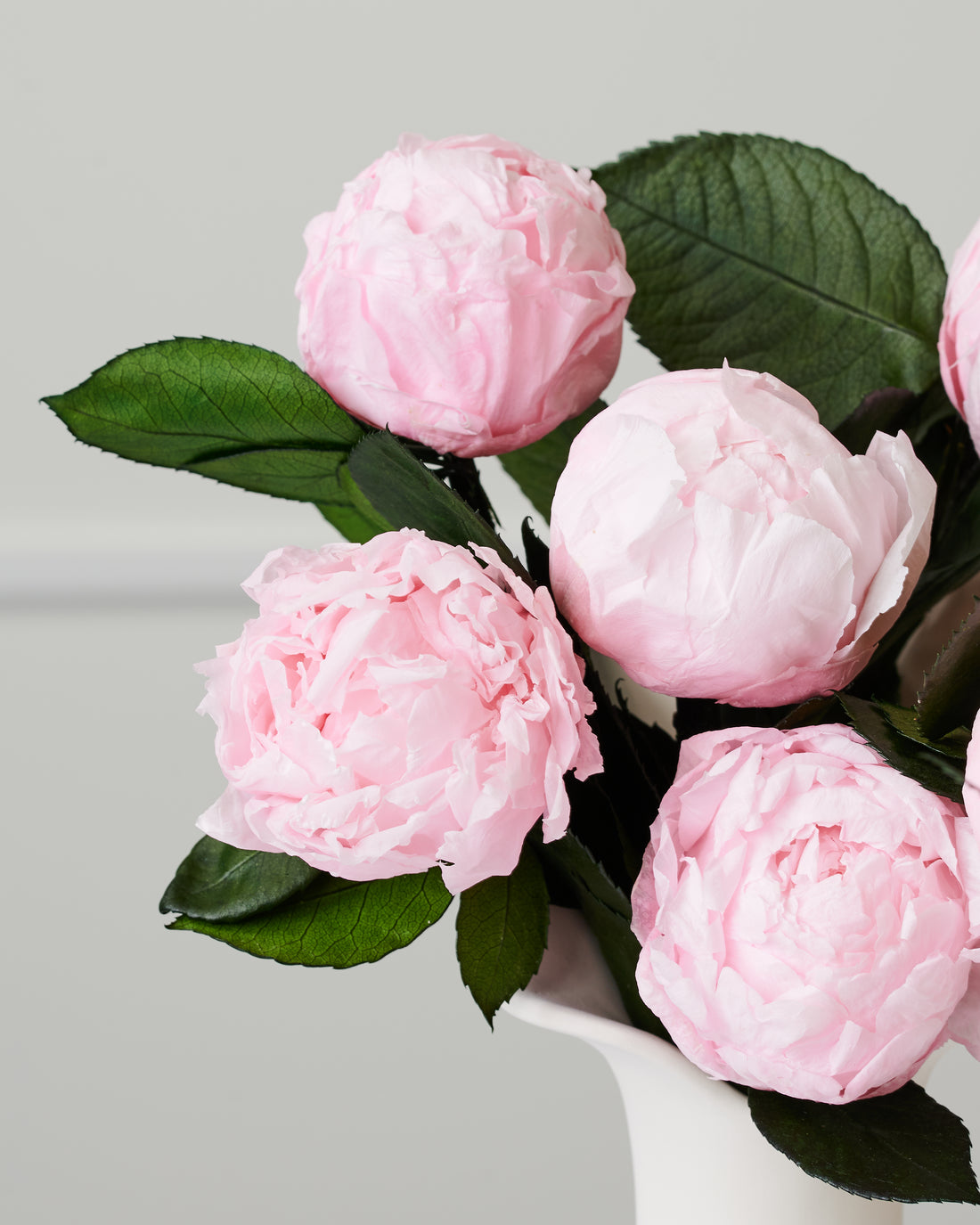 Royal Grande - Peony by La Fleur Lifetime Flowers