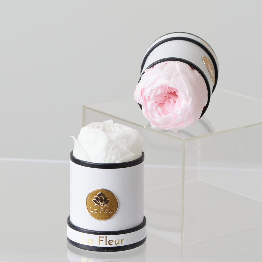 Peony Mini by La Fleur Lifetime Flowers