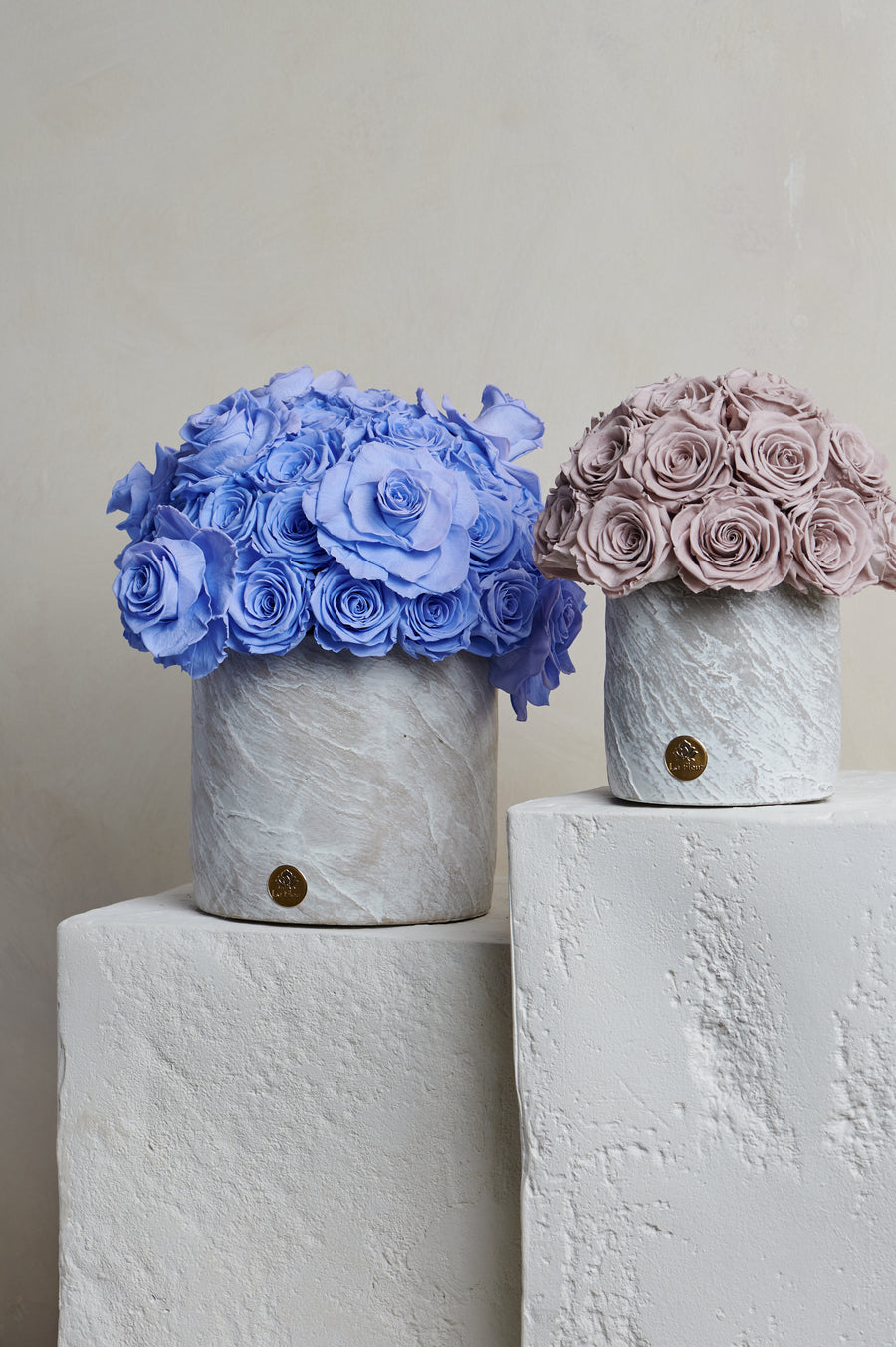 La Terre Grande - Reflex by La Fleur Lifetime Flowers