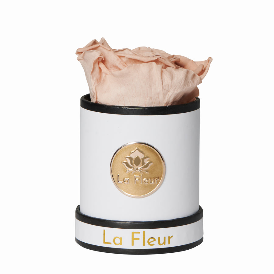 Mini by La Fleur Lifetime Flowers