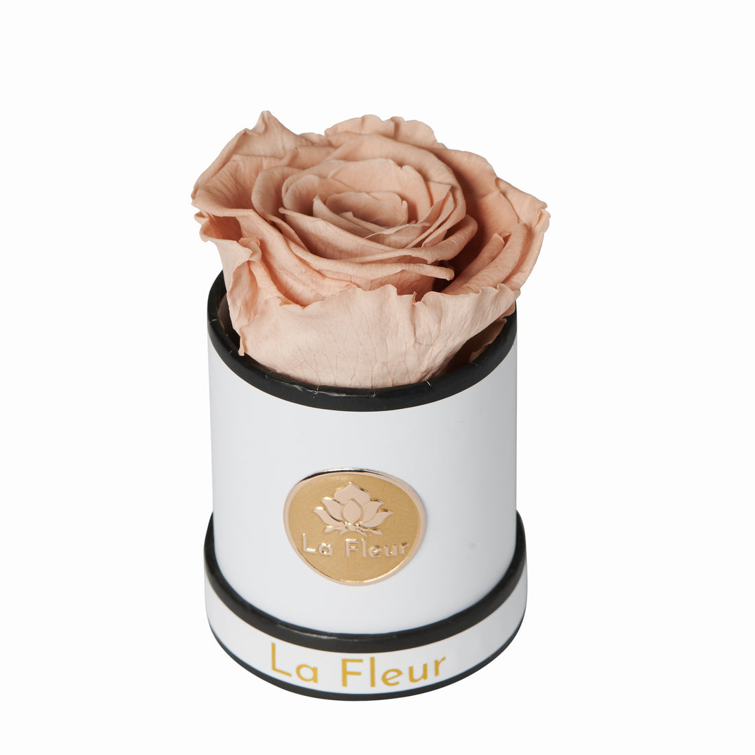 Mini by La Fleur Lifetime Flowers