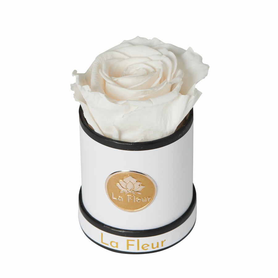 Mini by La Fleur Lifetime Flowers